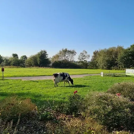 Sonnenuntergangsidyll Harriersand * Schwanewede
