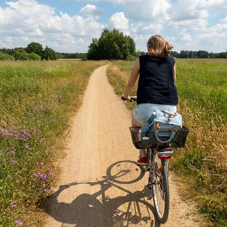 Sonnenuntergangsidyll Harriersand Schwanewede